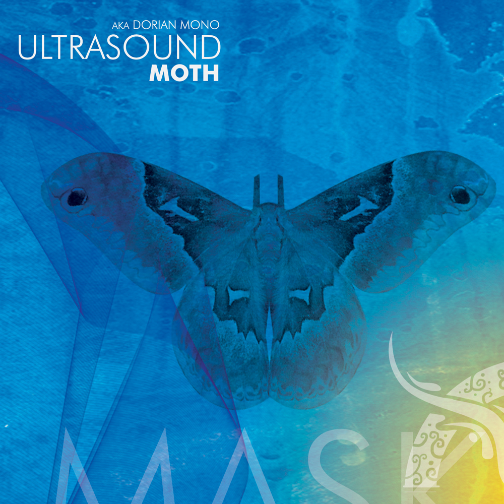 Ultrasound Moth